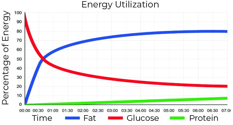 Energy Utilization
